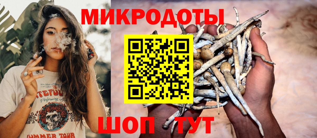 Алейск  что такое   Псилоцибиновые грибы мухоморы  Вход с VPN  Псилоцибиновые грибы MAGIC MUSHROOMS 