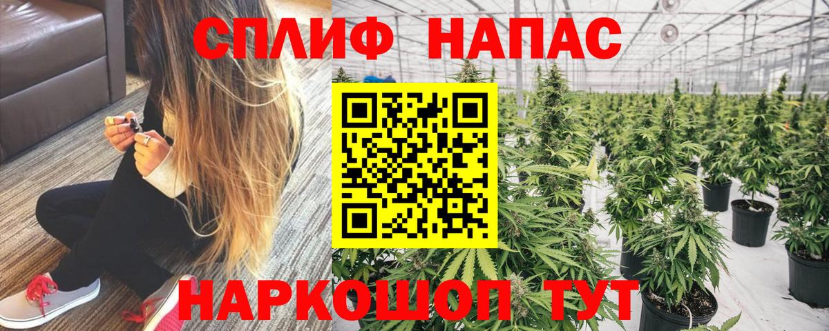 Алейск  МАРИХУАНА план  Вход с VPN  МАРИХУАНА планчик 