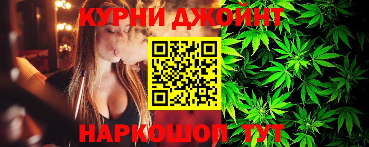 Канабис сатива Алейск